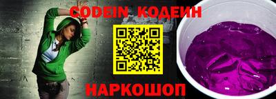 МДПВ Камень-на-Оби