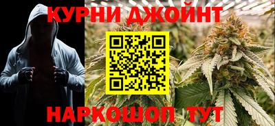 МДПВ Камень-на-Оби