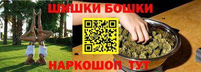 МДПВ Камень-на-Оби