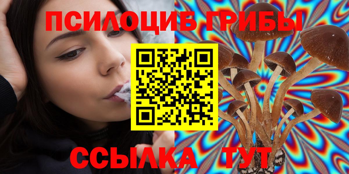 где купить   Галлюциногенные грибы Magic Shrooms  Вход с VPN  Псилоцибиновые грибы MAGIC MUSHROOMS  Мыски 